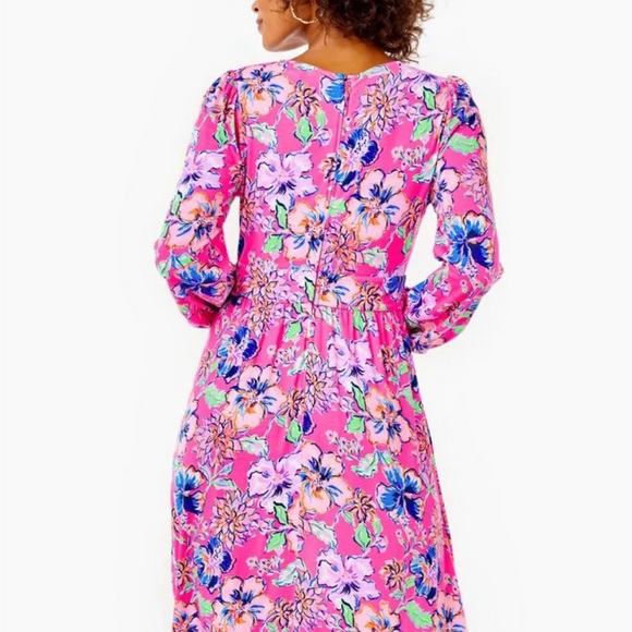 SOLD Lilly Pulitzer Carmilla Dress - Picture 2 of 6